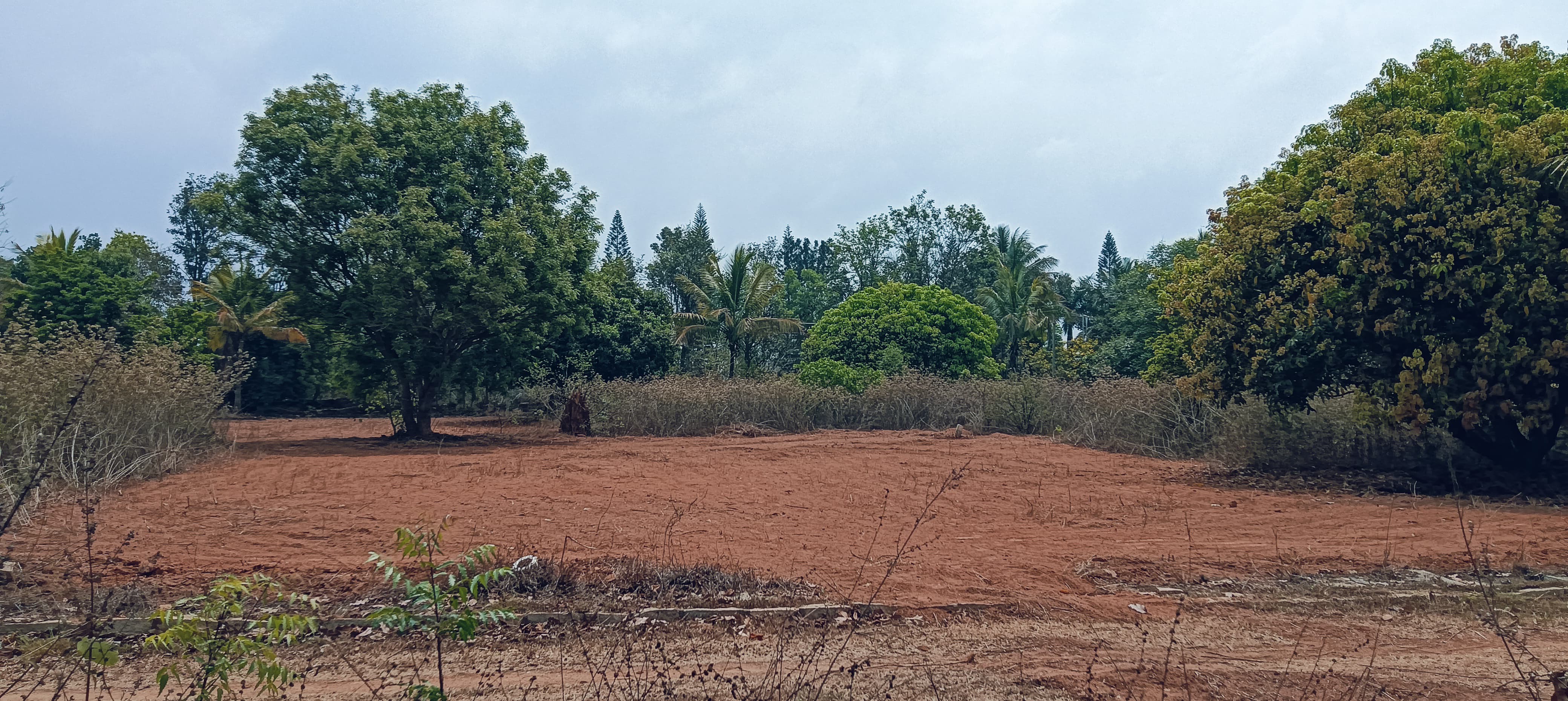 Property Thumbnail